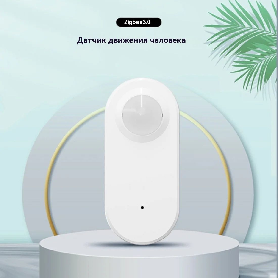 Tuya WiFi Human PIR Bewegingss - Home Assistant Tuya recensie en prijs